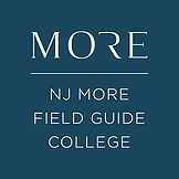 NJ MORE logo